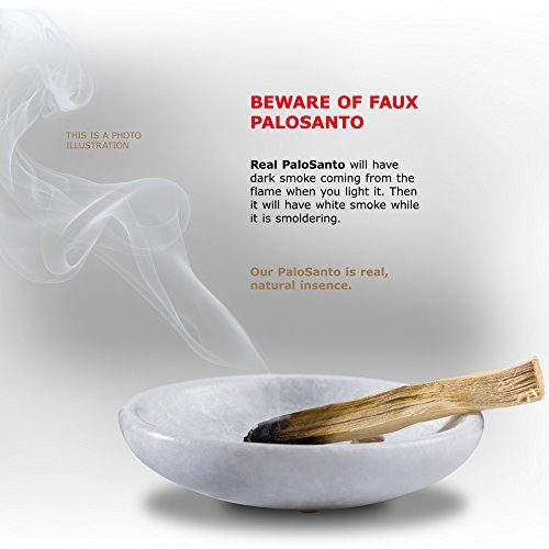 Premium Authentic Ecuadorian Kiln-Dried Palo Santo ( Holy Wood ) Incense Sticks ( 10 ), Wild Harvested, 100% Natural for Purifying, Cleansing, Healing, Meditation and Stress Relief